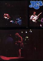 Live Shots